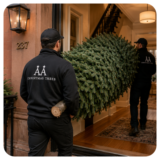 AA Christmas Tree employees delivering a fresh Fraser Fir tree to a Brooklyn NYC resident.