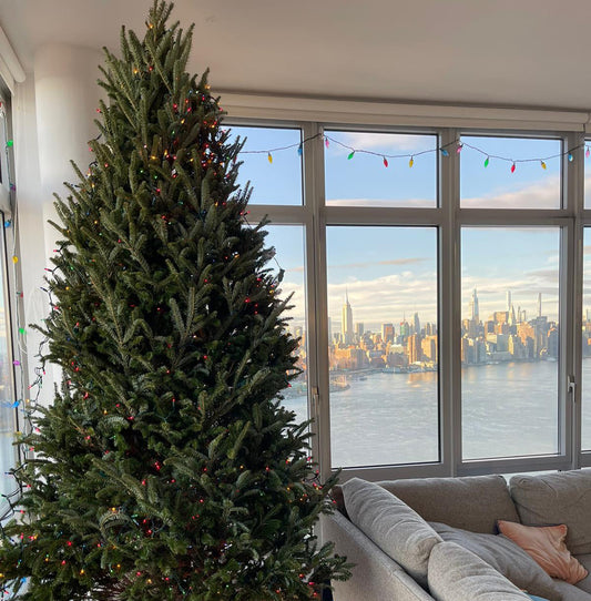 Best Christmas Tree For Small Apartment: How To Choose The Perfect Christmas Tree Size For A NYC Apartment