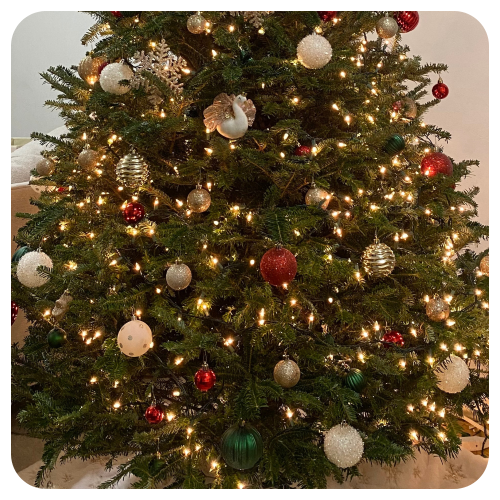 How To Keep A Real Christmas Tree Alive In A Radiator-Heated NYC Apartment