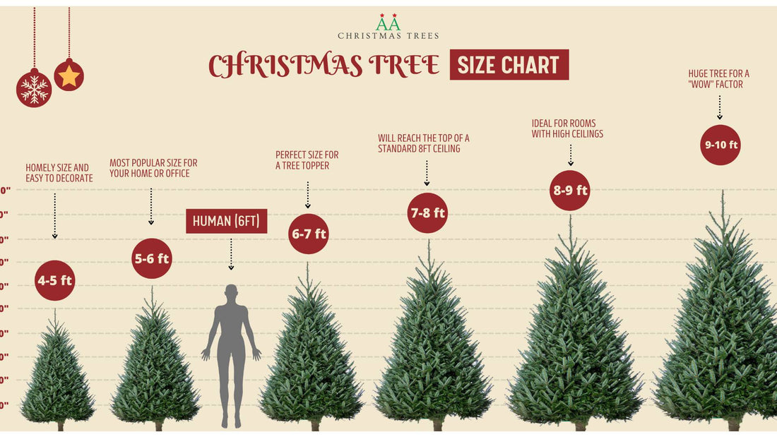 Best Christmas Tree Sizes for NYC Apartments (Studios to Brownstones) - AA Christmas Trees