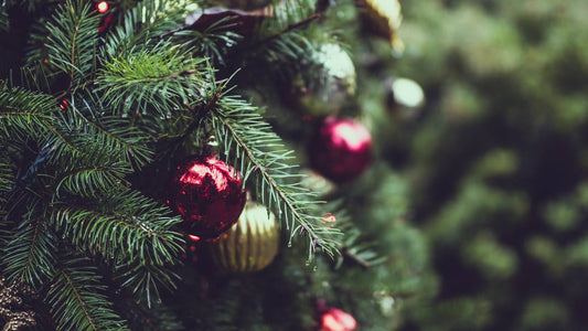 Christmas Tree Delivery NYC: Complete NYC Delivery Guide 2025 - AA Christmas Trees