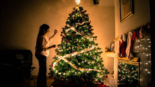 How To Keep Christmas Tree Fresh: 2025–2026 Guide - AA Christmas Trees
