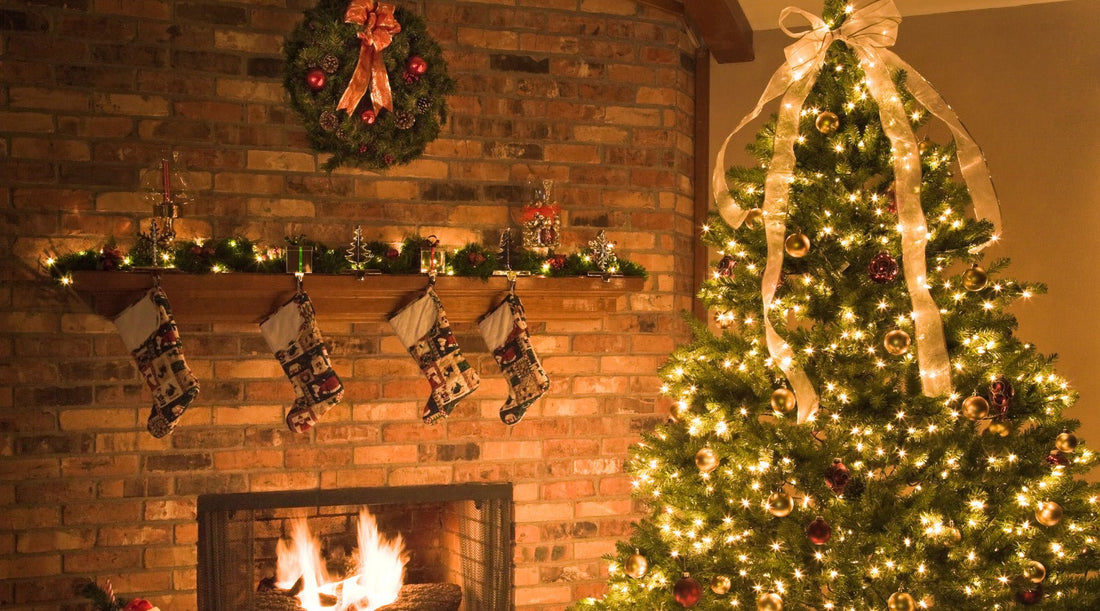 Organic Christmas Trees New York: Compare Varieties, Sizes & Freshness - AA Christmas Trees