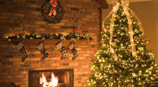 Organic Christmas Trees New York: Compare Varieties, Sizes & Freshness - AA Christmas Trees