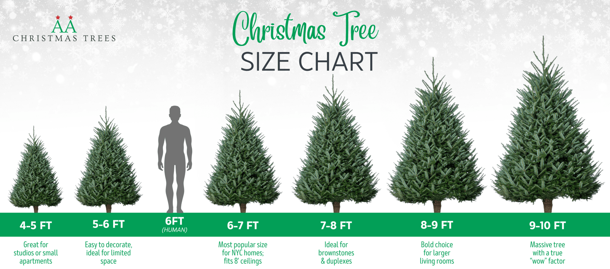 Premium Fraser Fir Christmas Tree - AA Christmas Trees