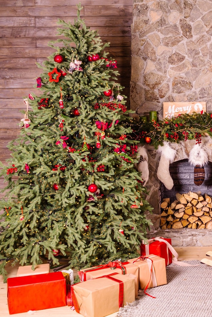 Premium Fraser Fir Christmas Tree